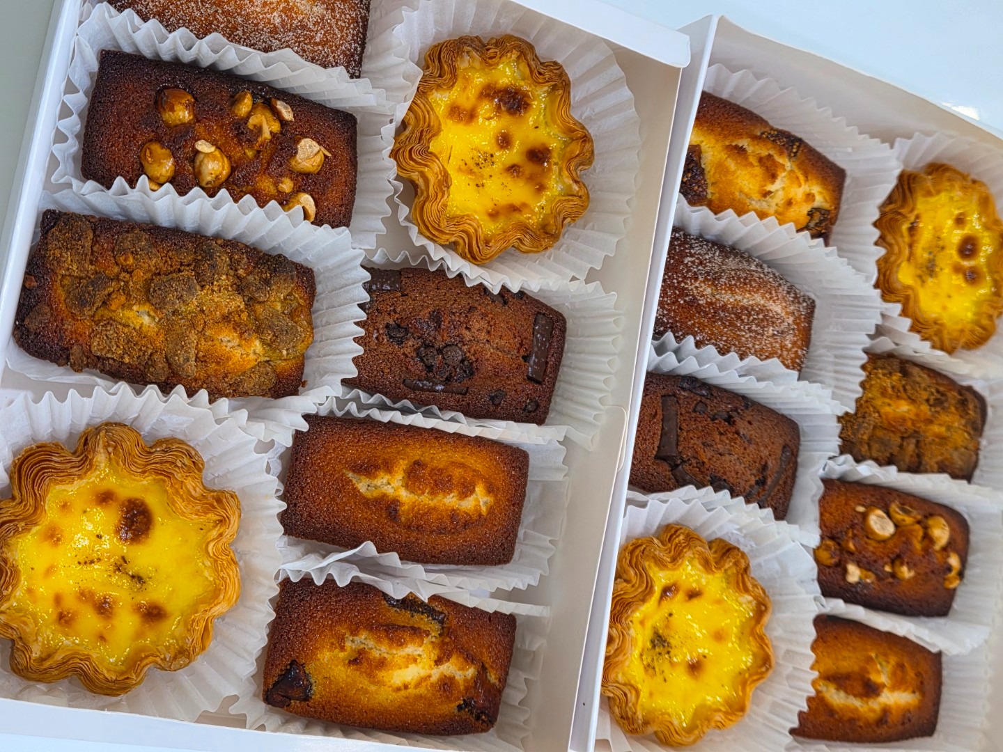 평면도