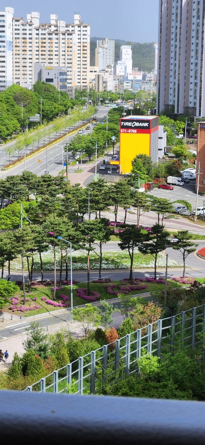 평면도