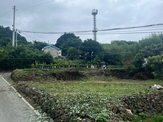 평면도
