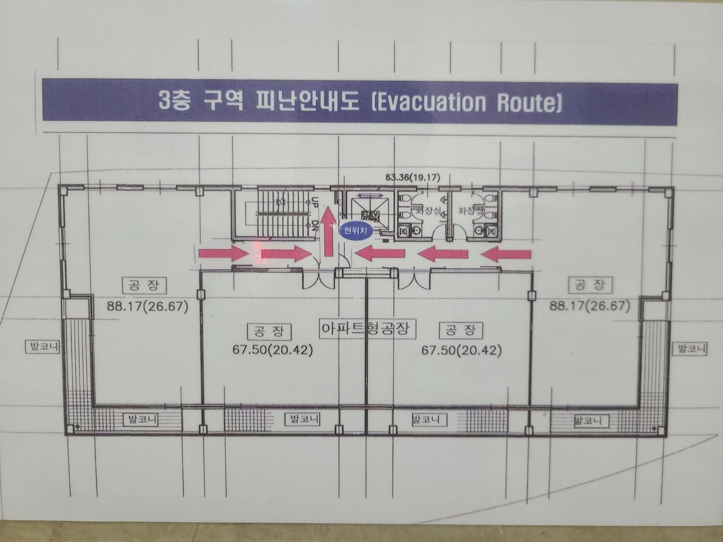 평면도