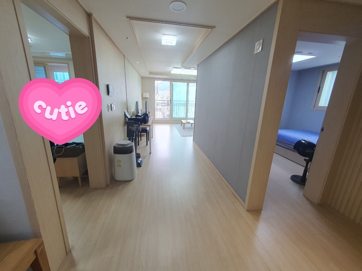 평면도