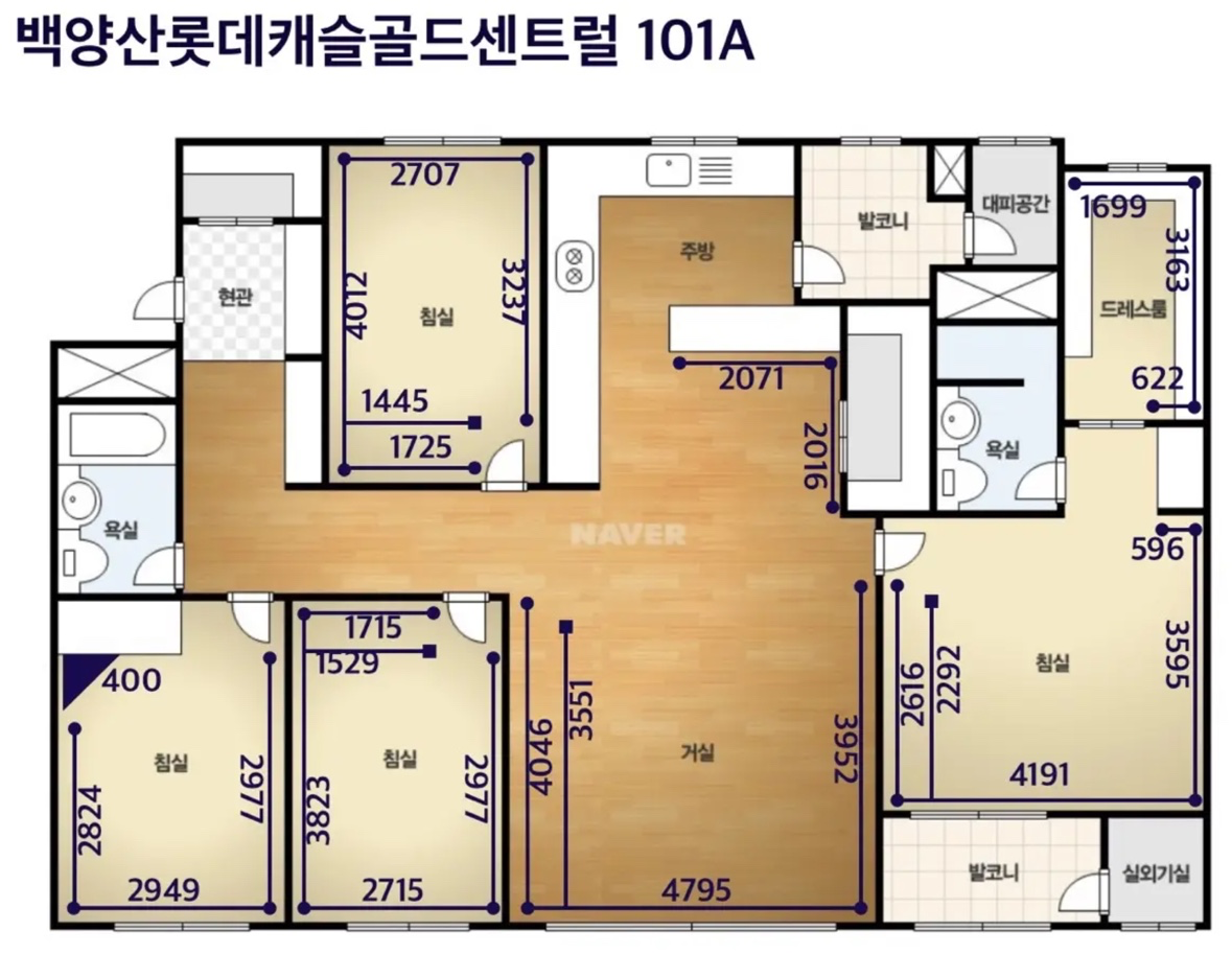 평면도