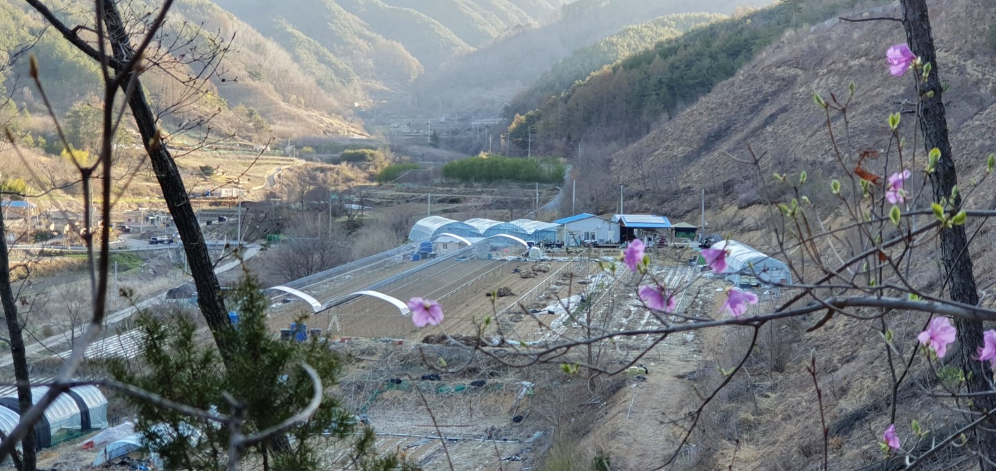 평면도