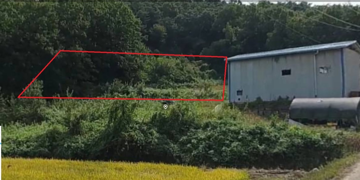 평면도