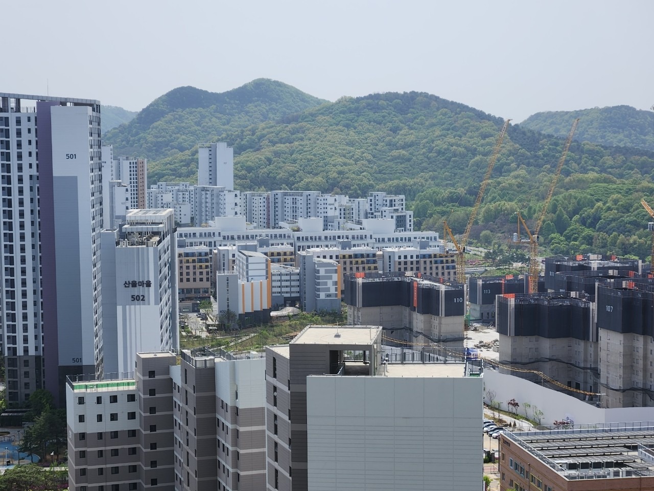 평면도