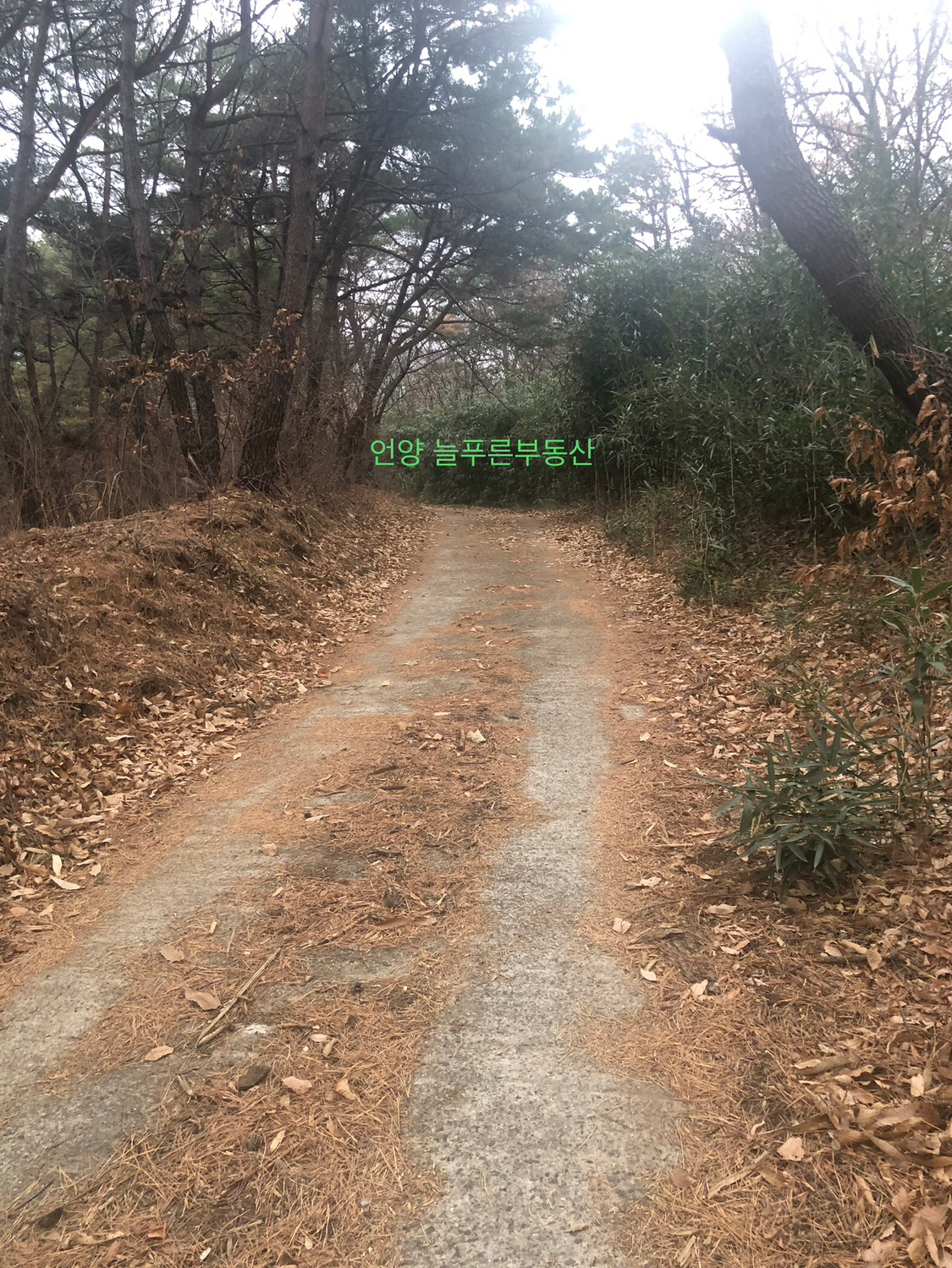 매물 썸네일
