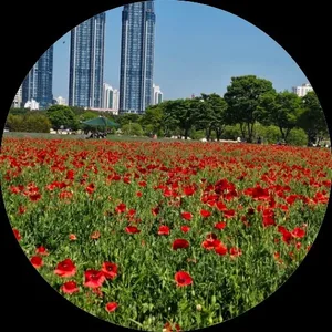 대경복덕방부동산공인중개사사무소