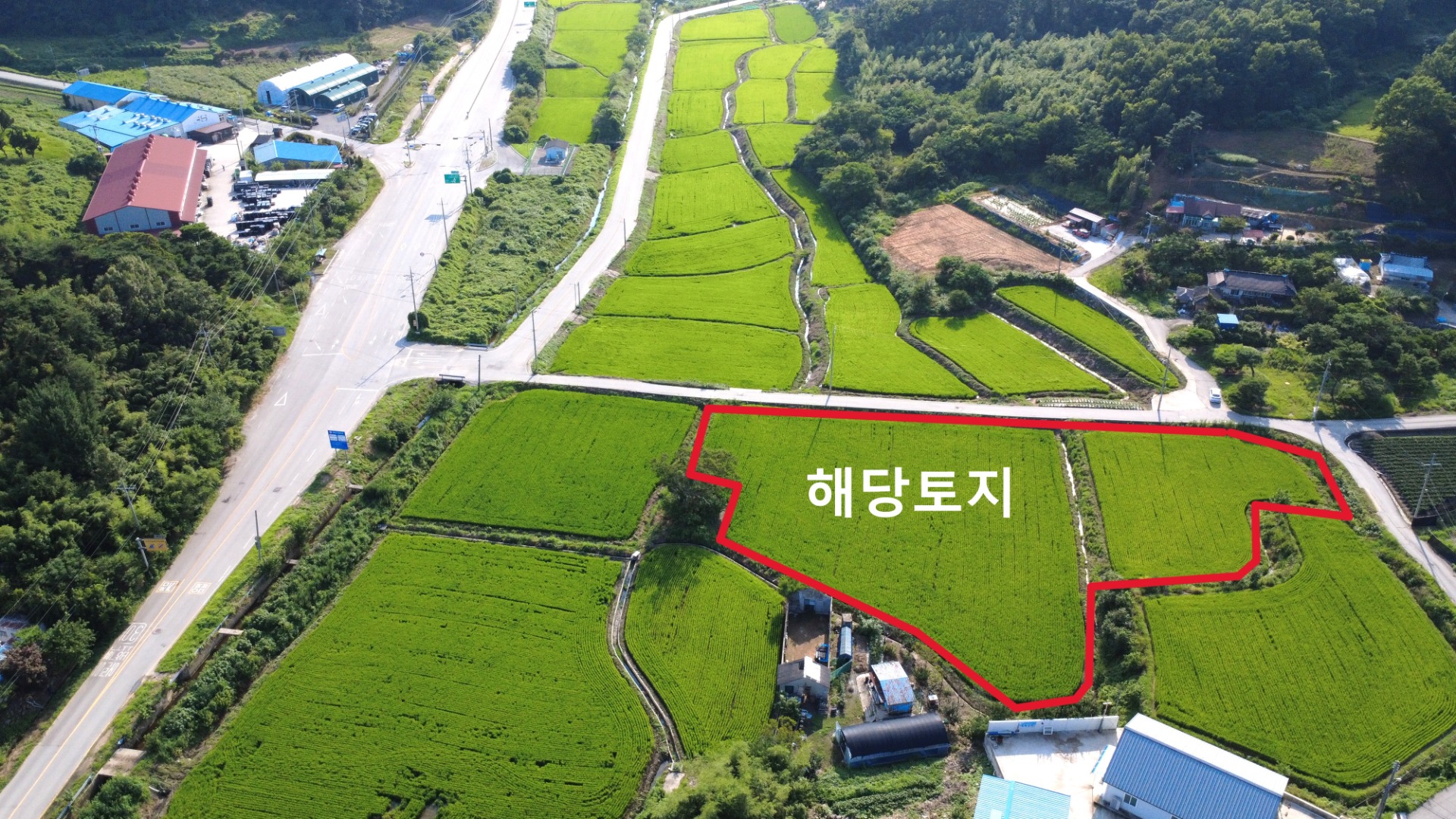 평면도