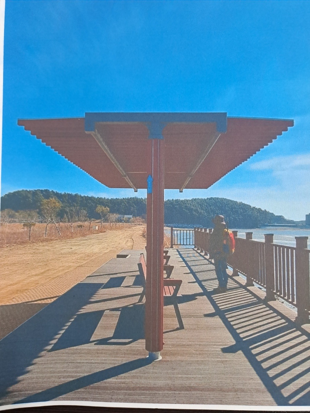 평면도