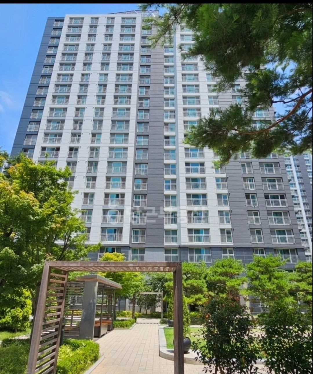 평면도
