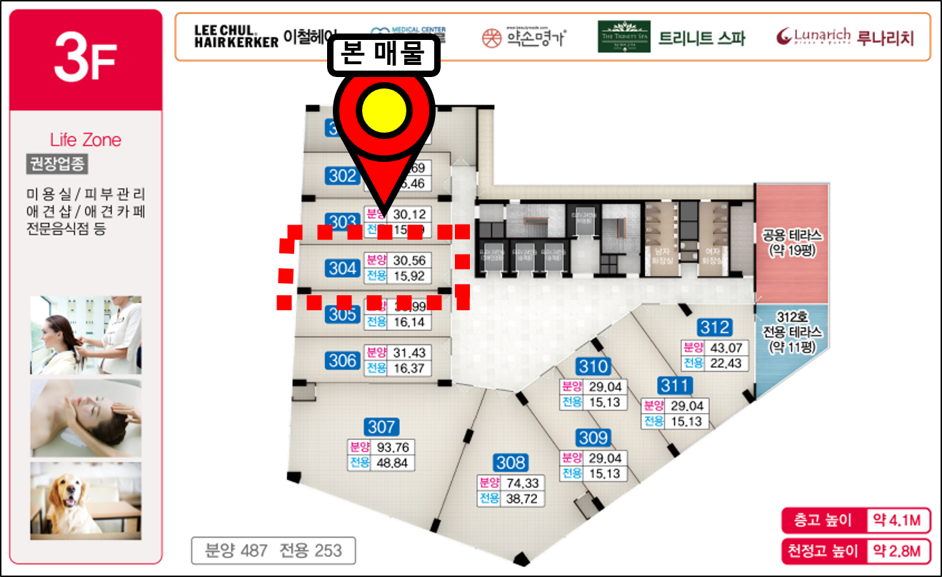 평면도