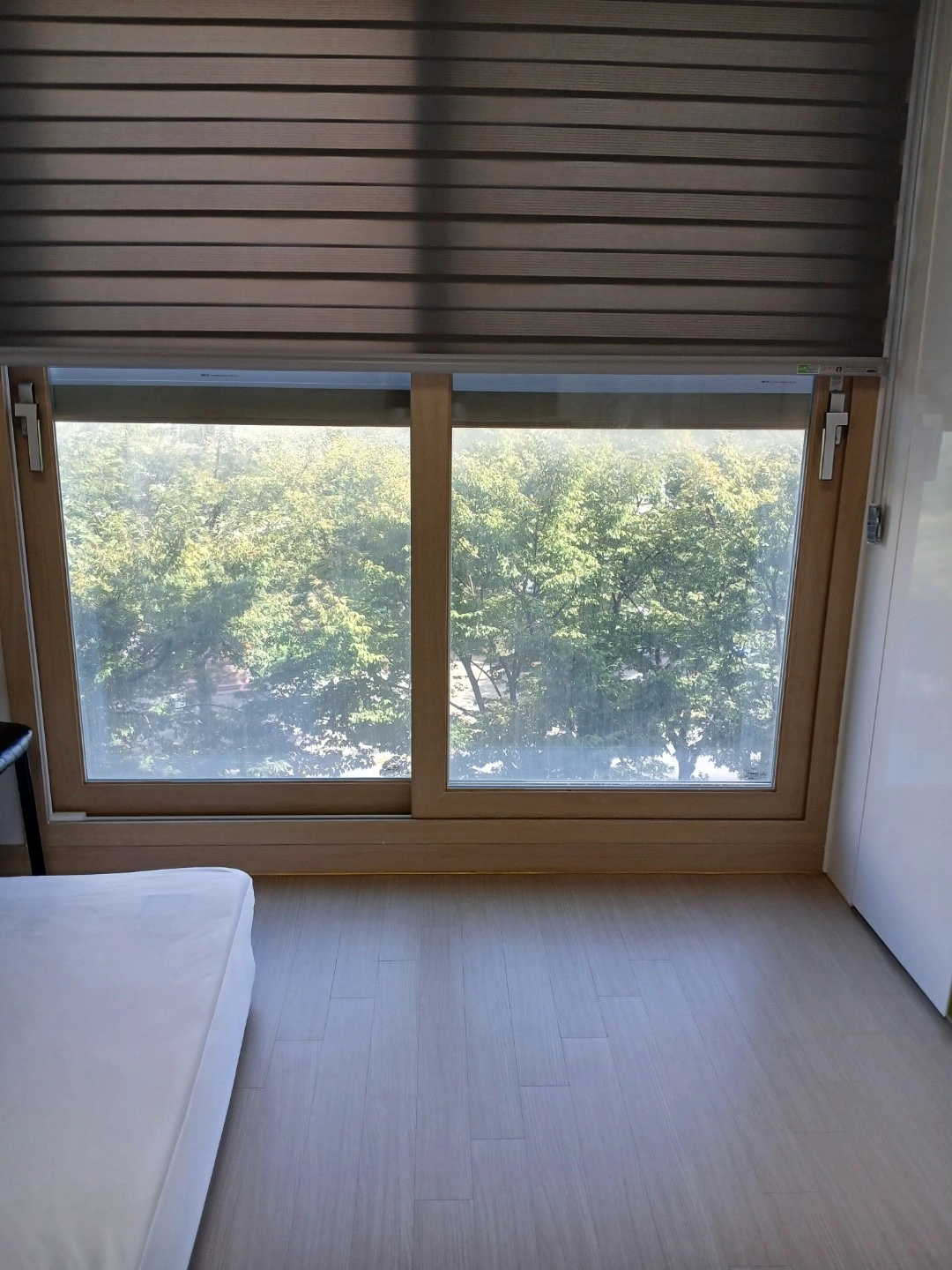 평면도
