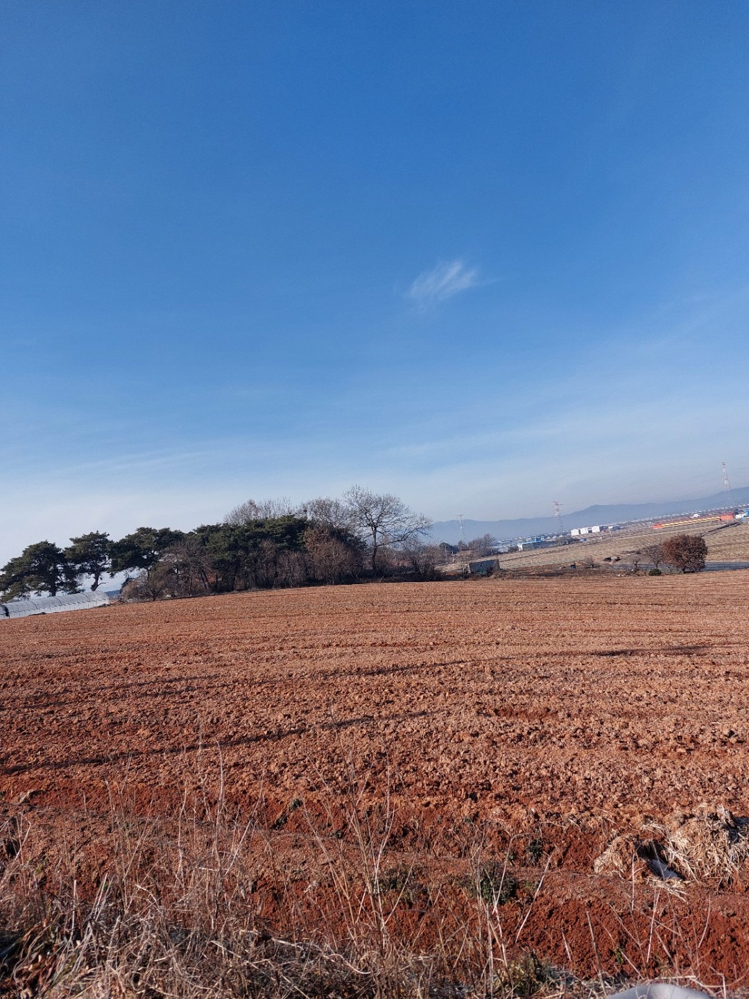 평면도