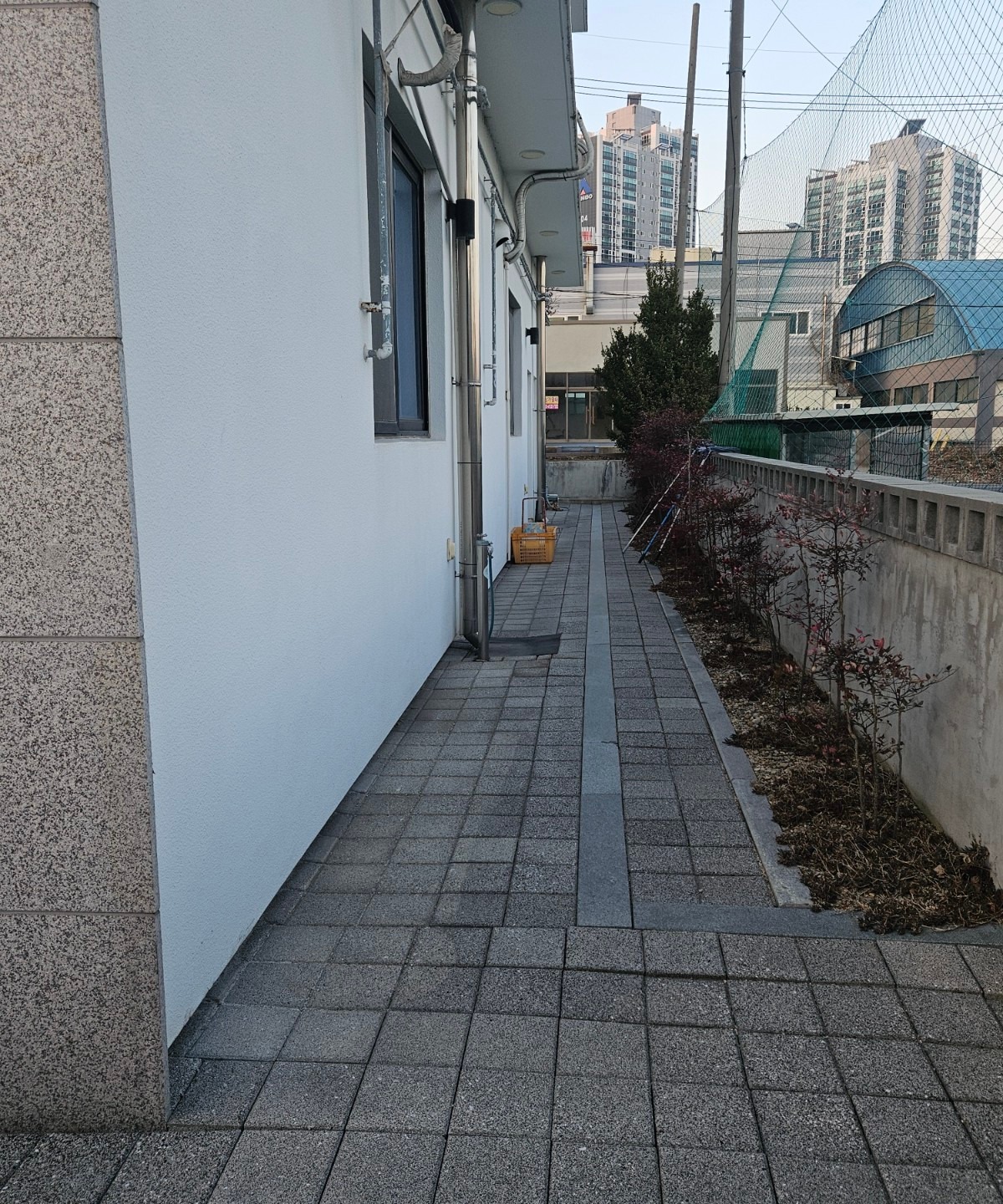 평면도