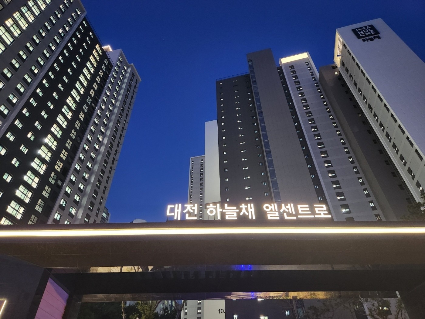 평면도