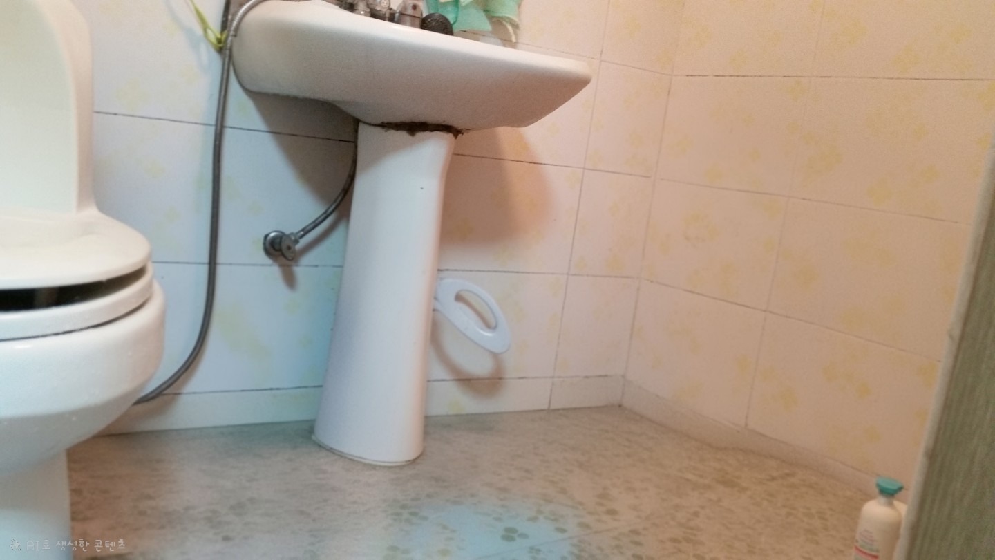 평면도