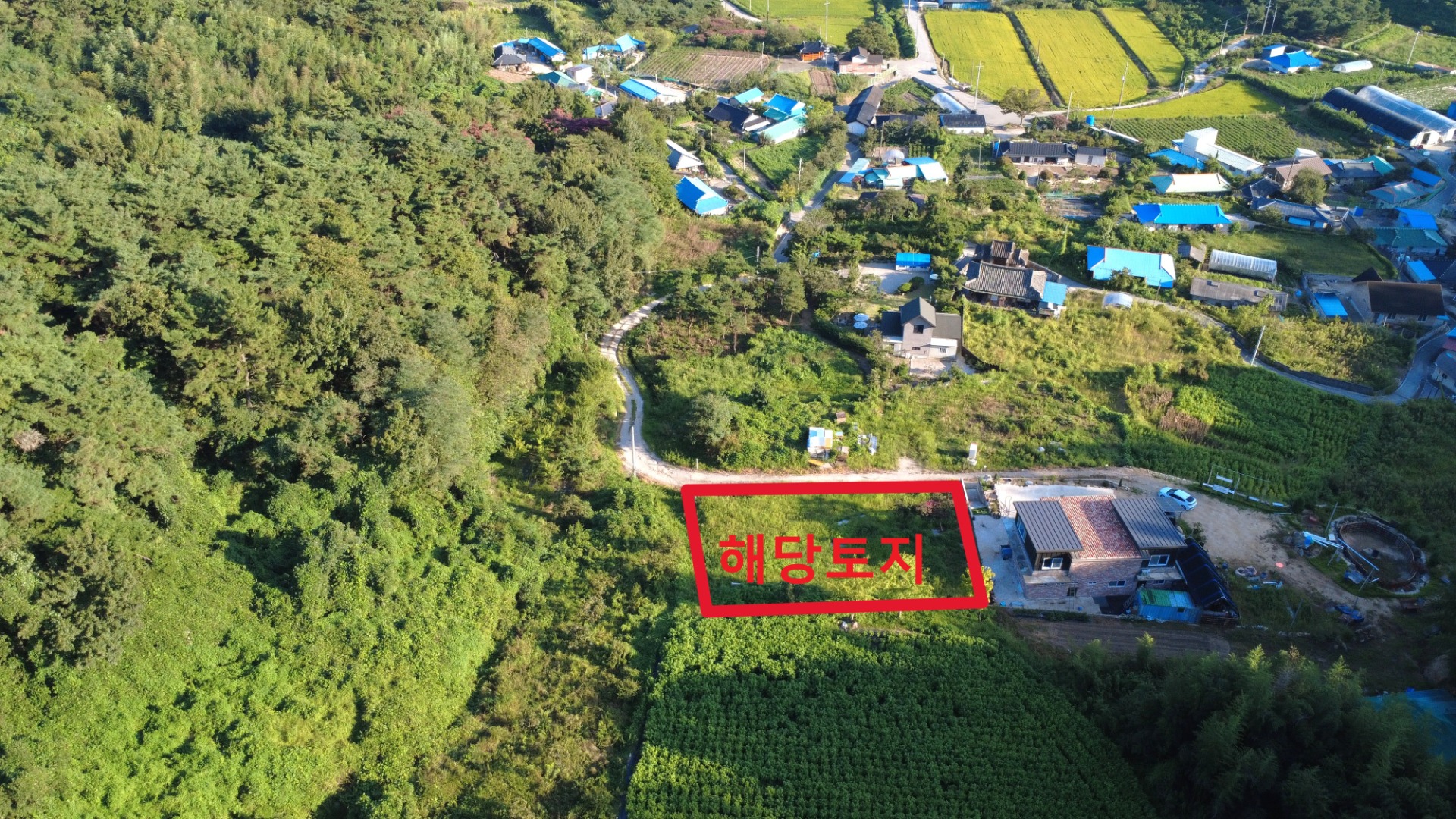 평면도