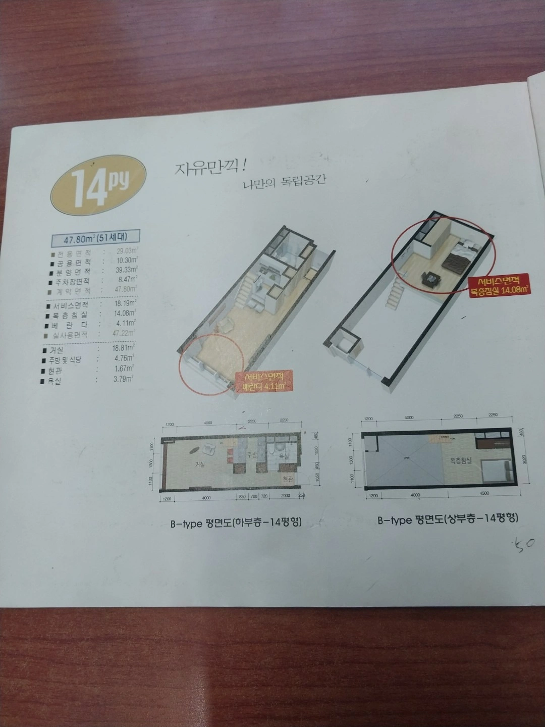 평면도