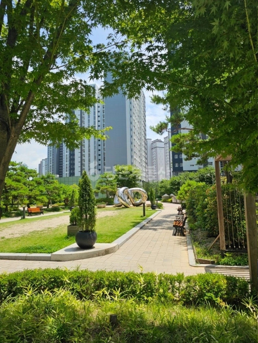 평면도