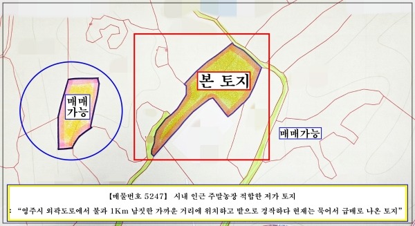 평면도