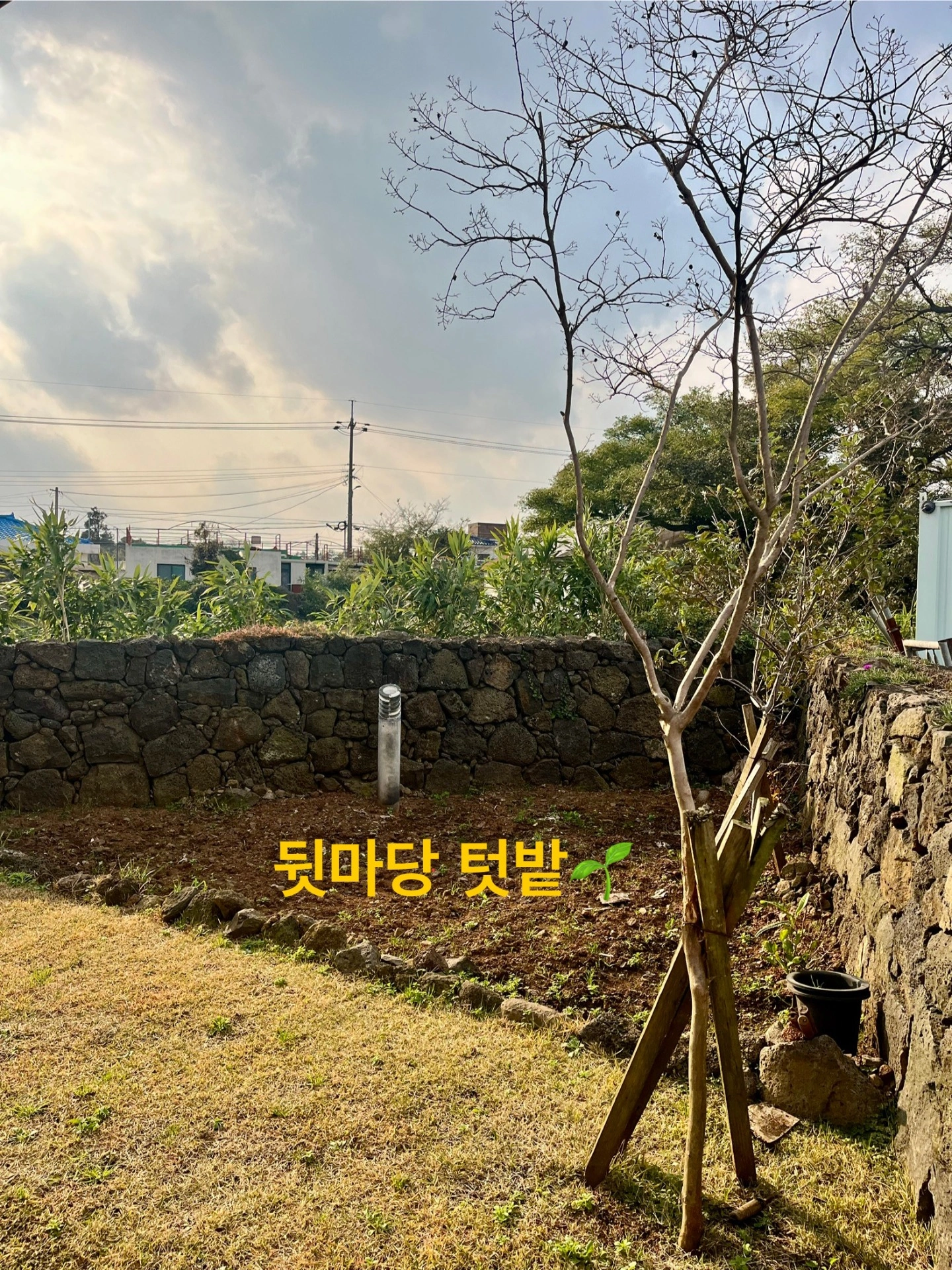 평면도