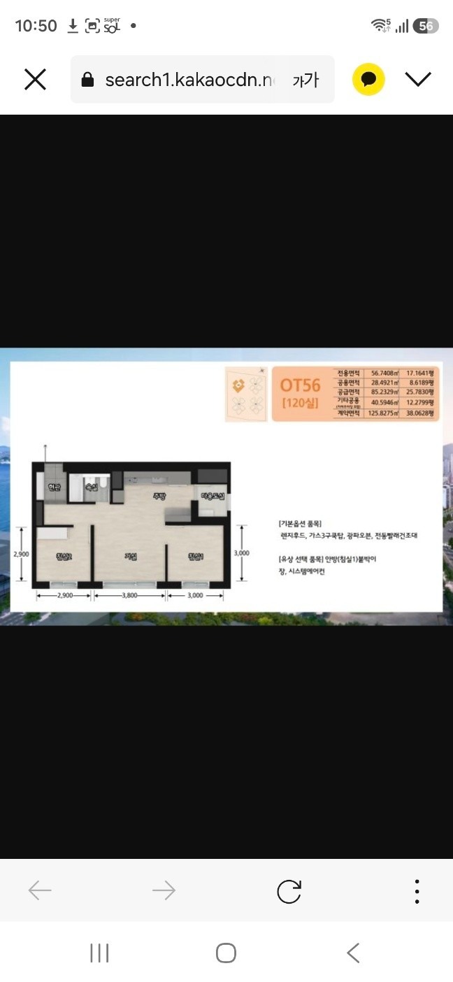 평면도