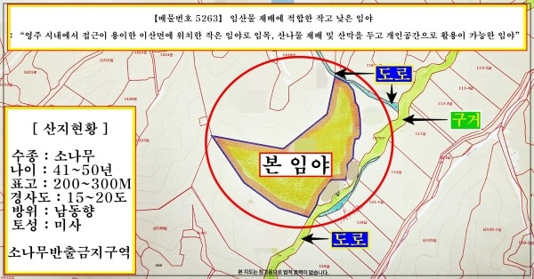 평면도
