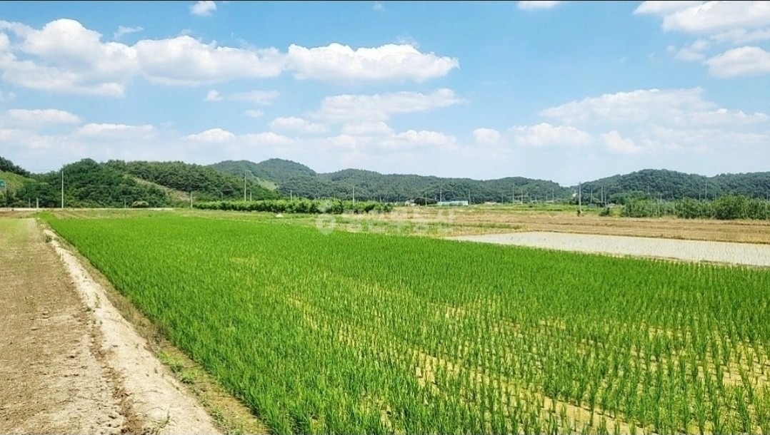 평면도