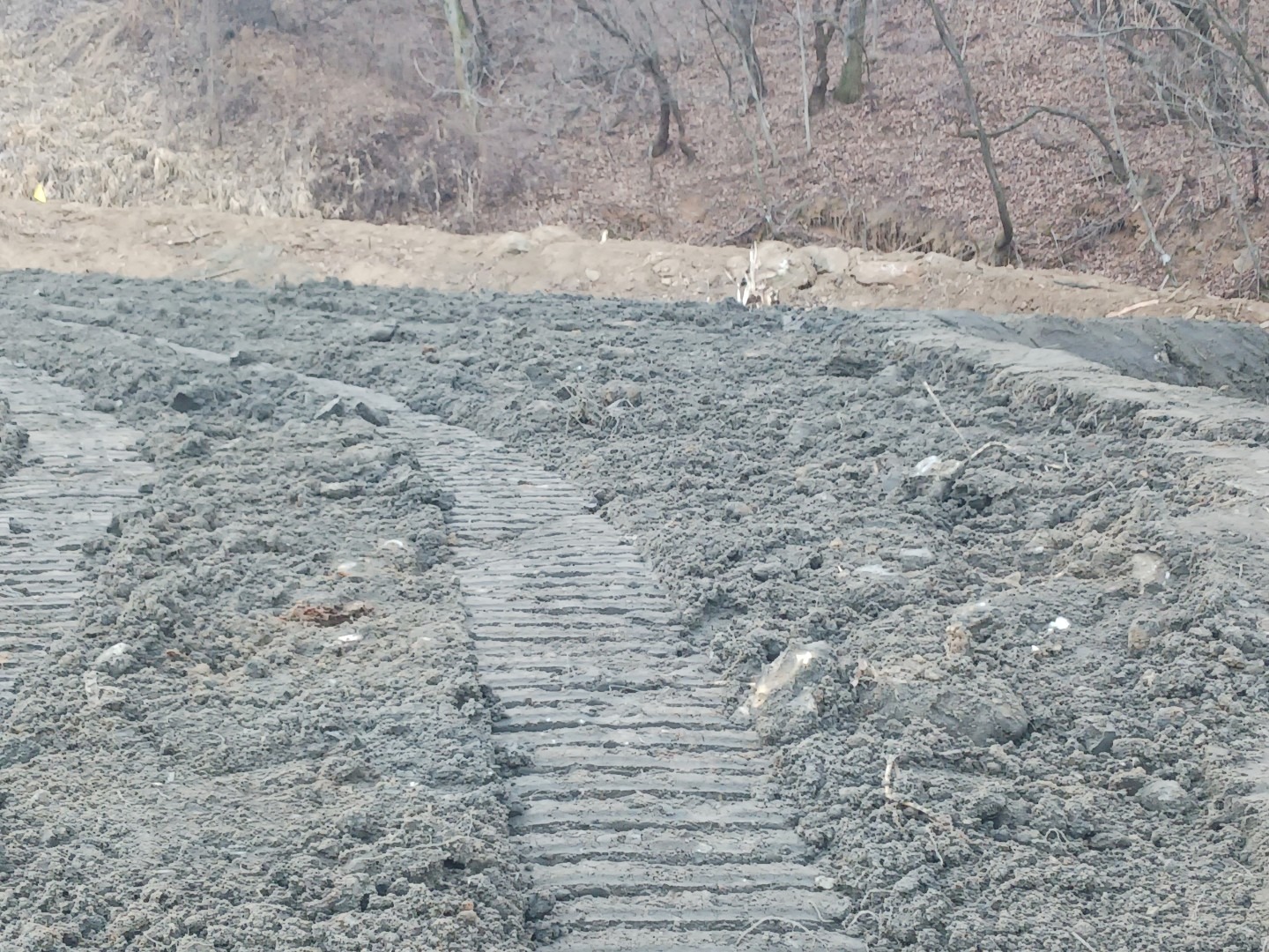 평면도