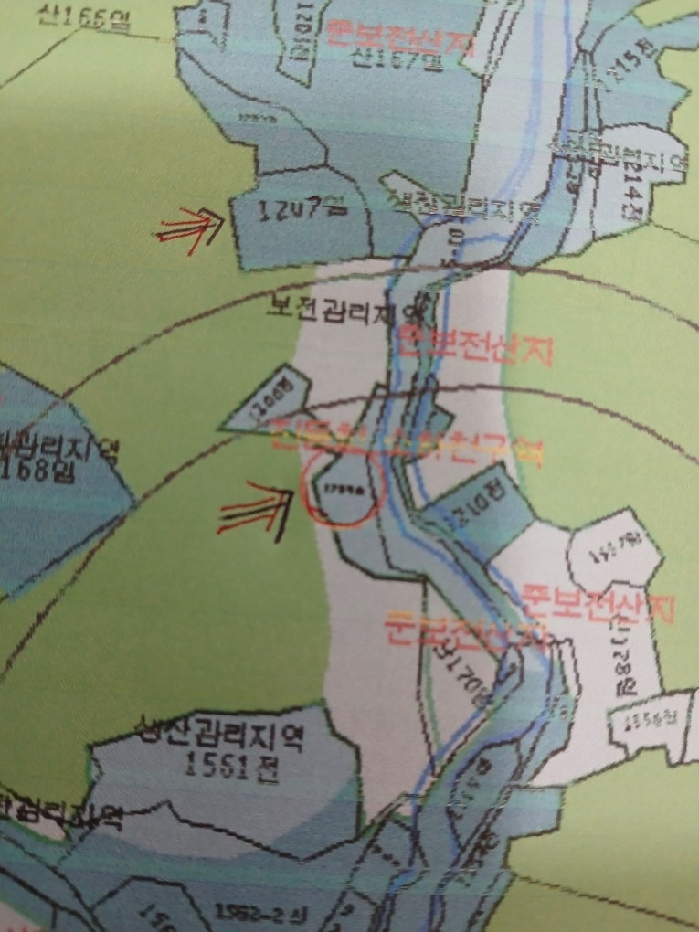 평면도