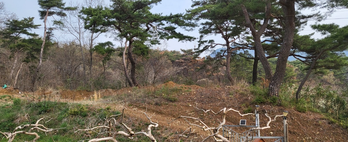 평면도
