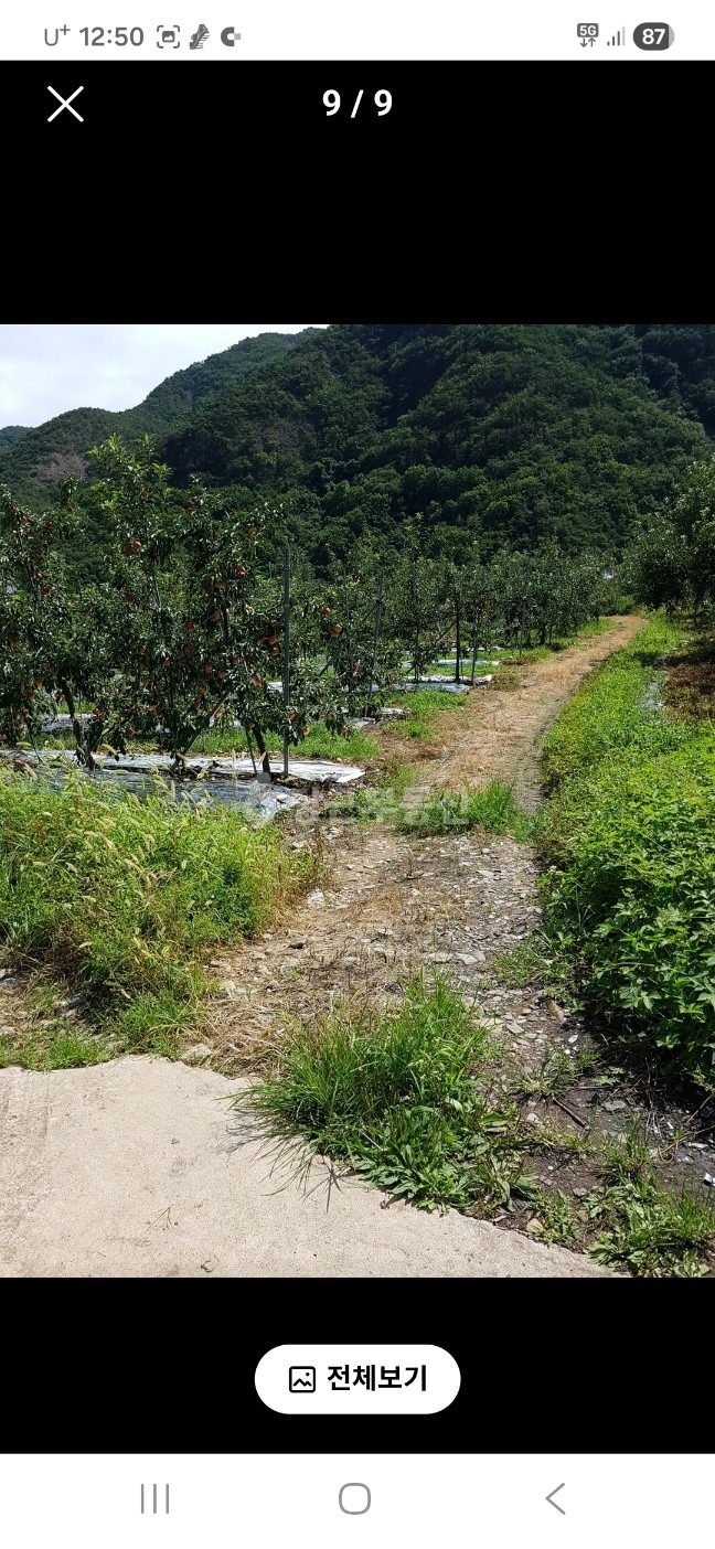 매물 썸네일