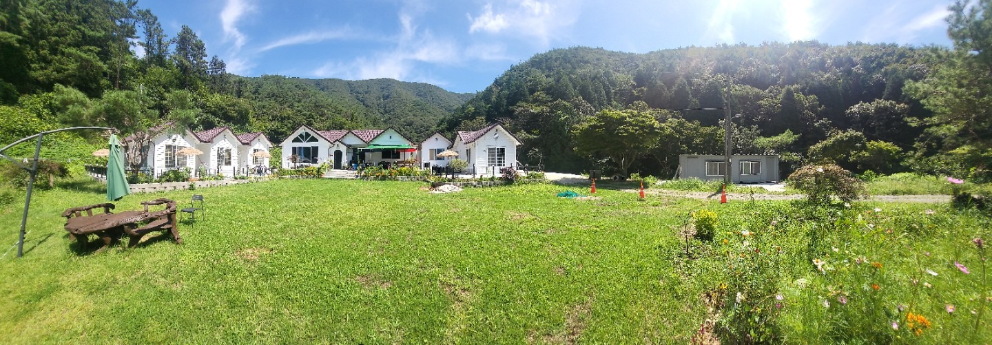 평면도