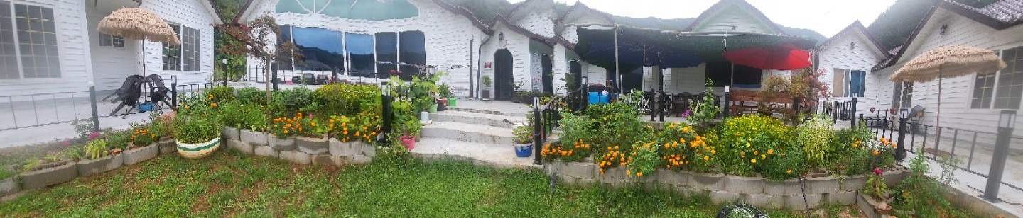 평면도