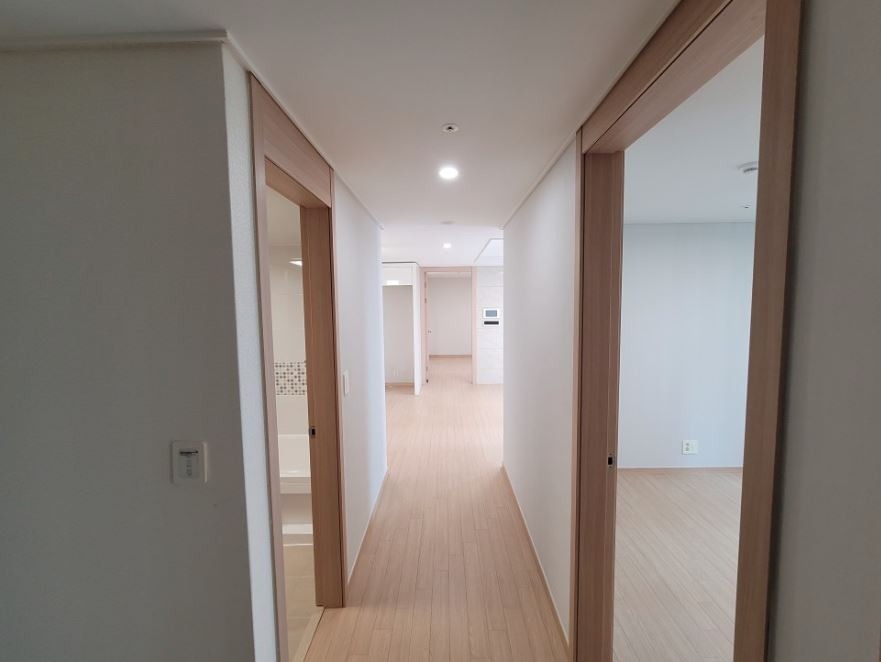 평면도