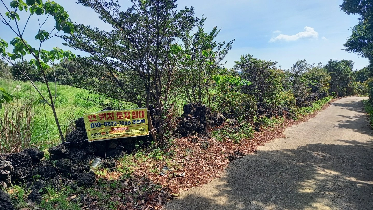 평면도