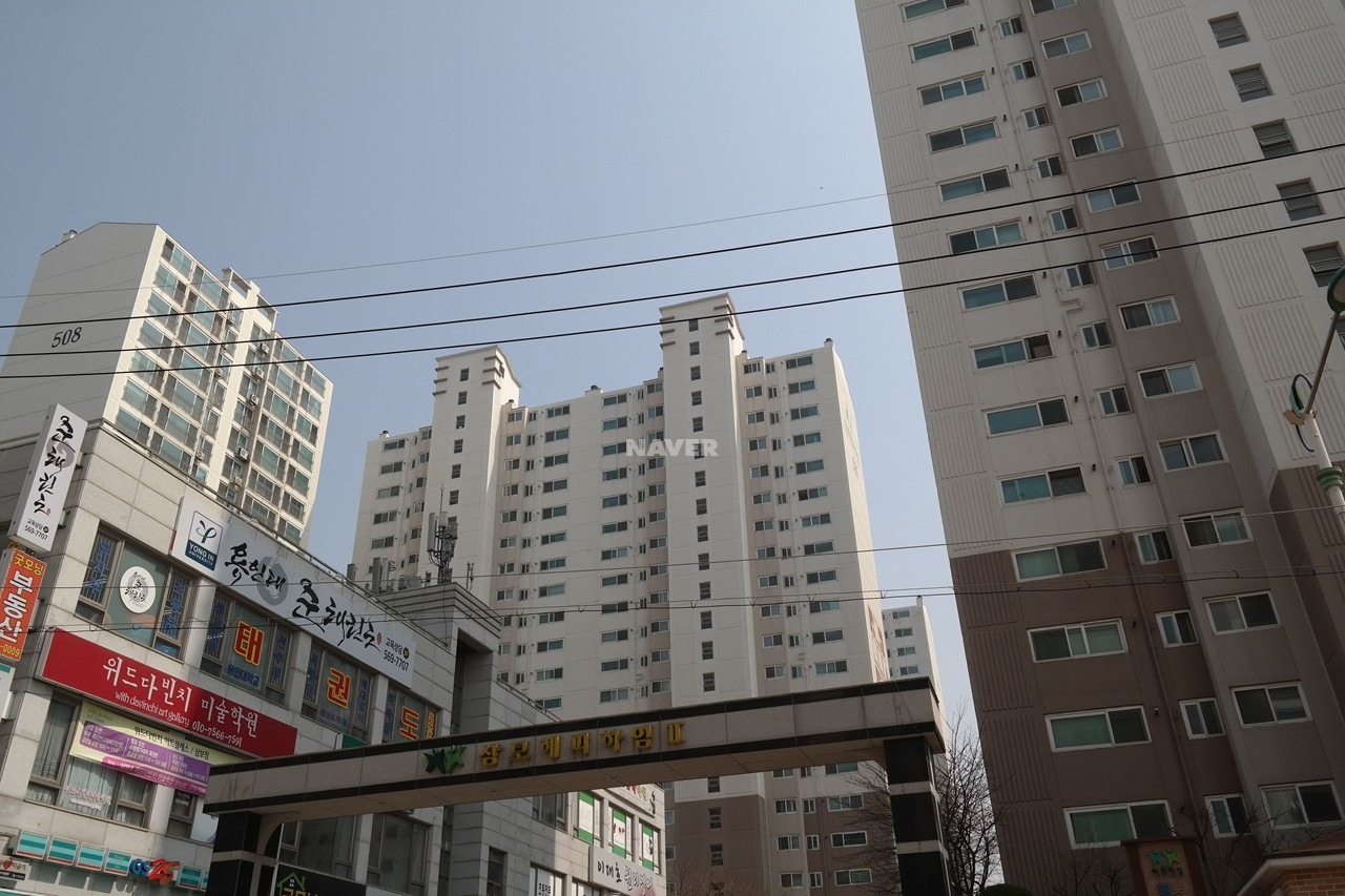 평면도