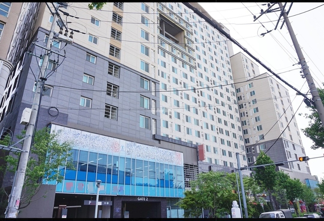 평면도