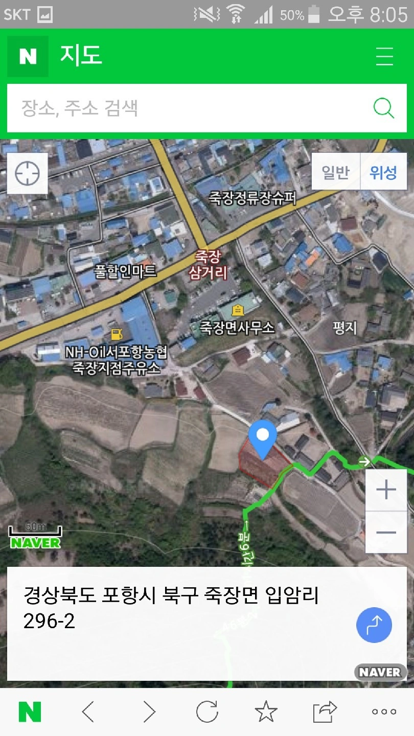 평면도