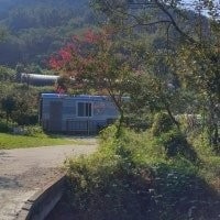 평면도