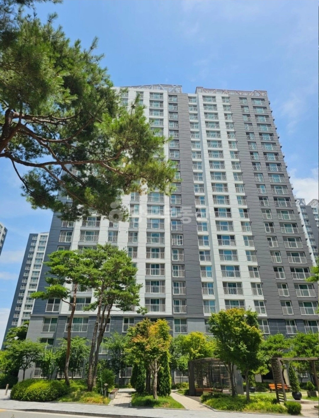 평면도