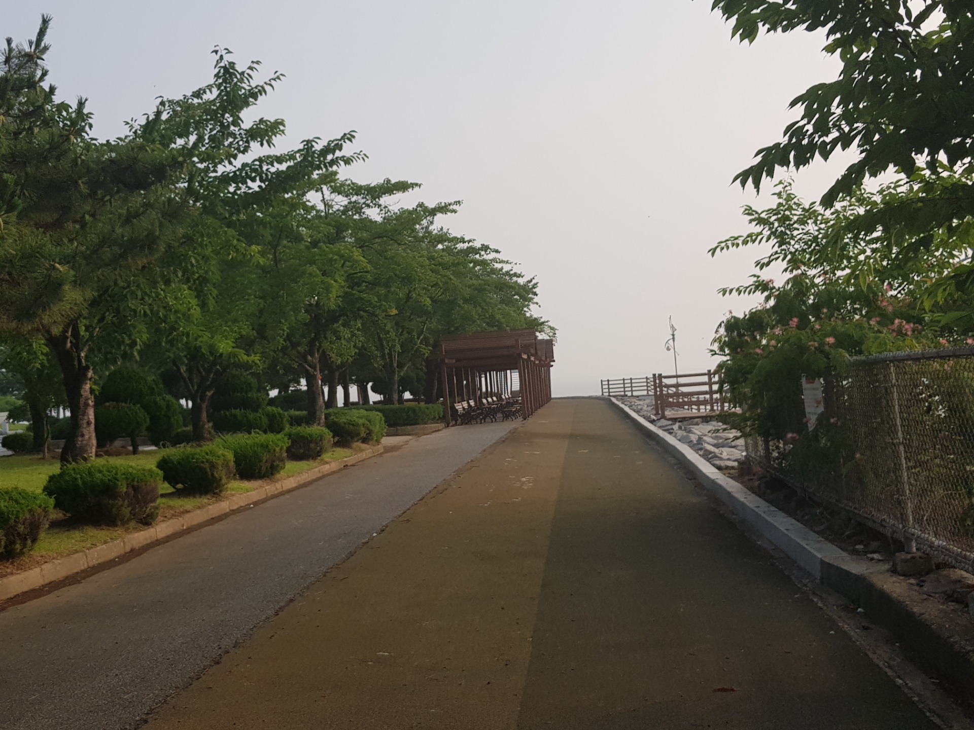 평면도