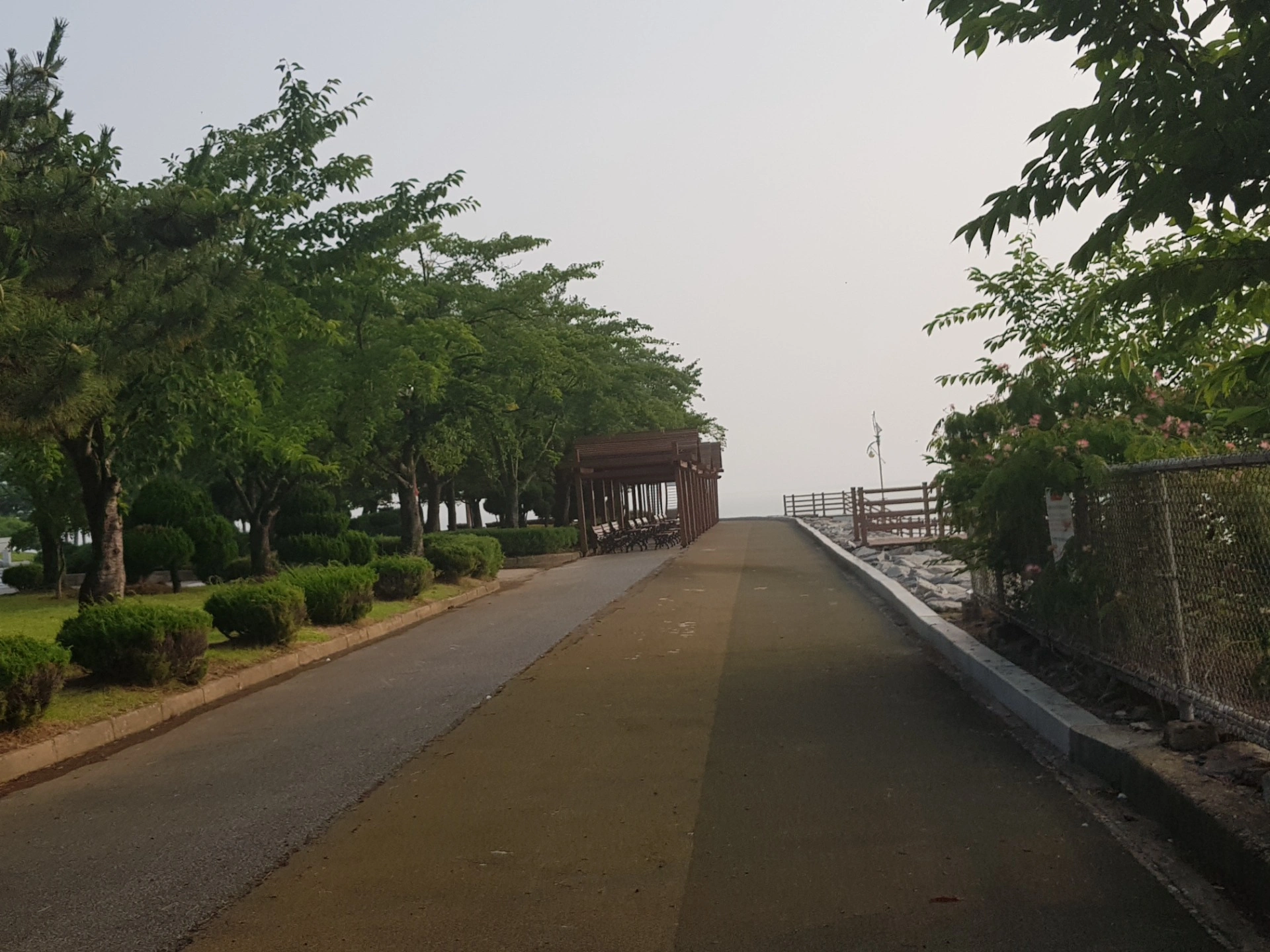 평면도