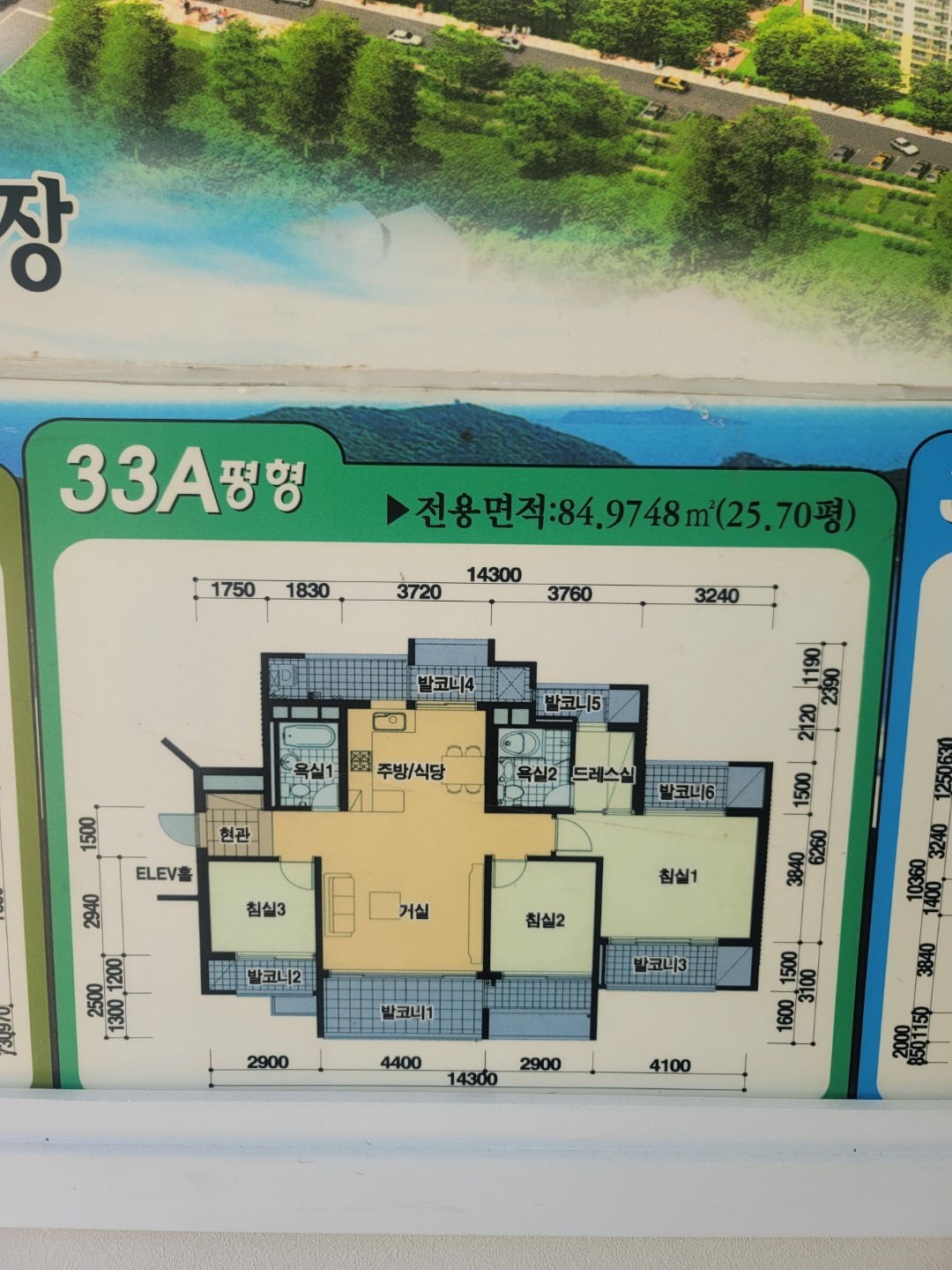 평면도
