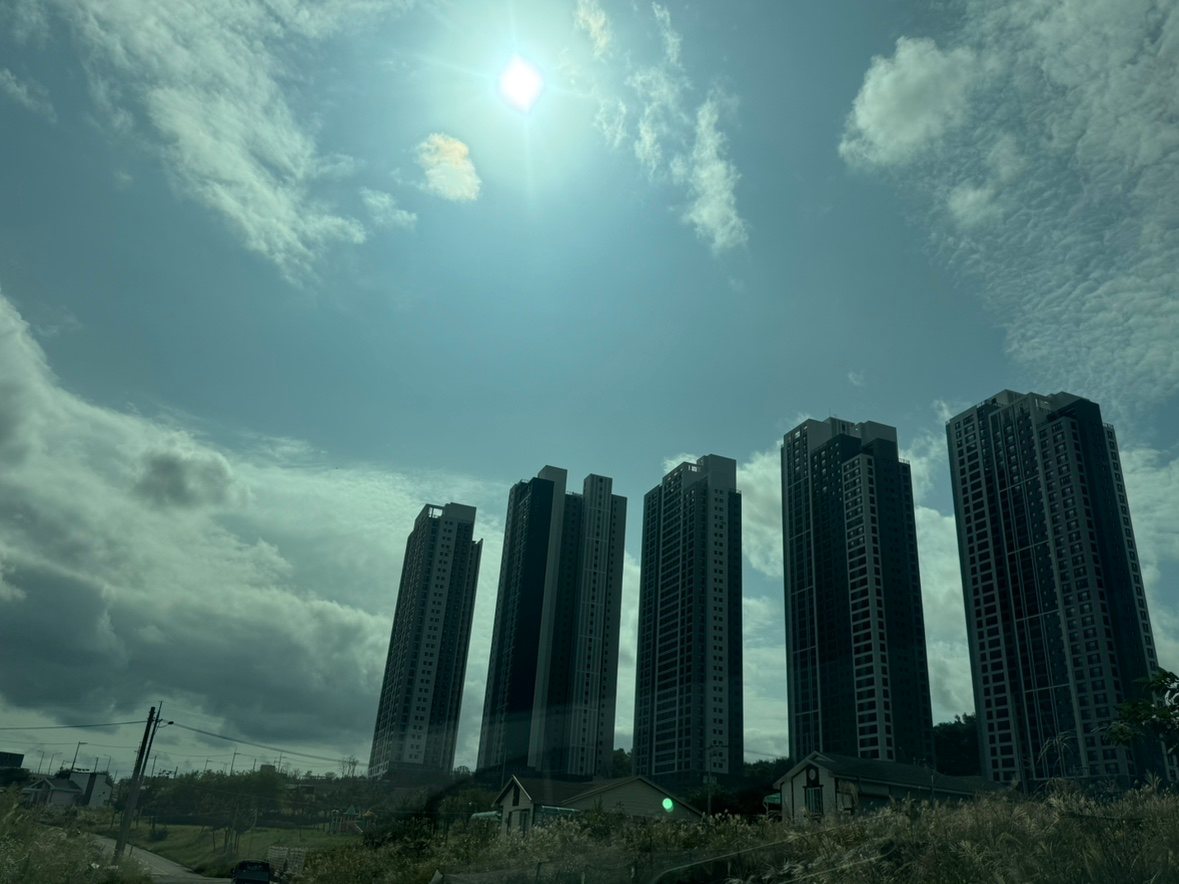평면도