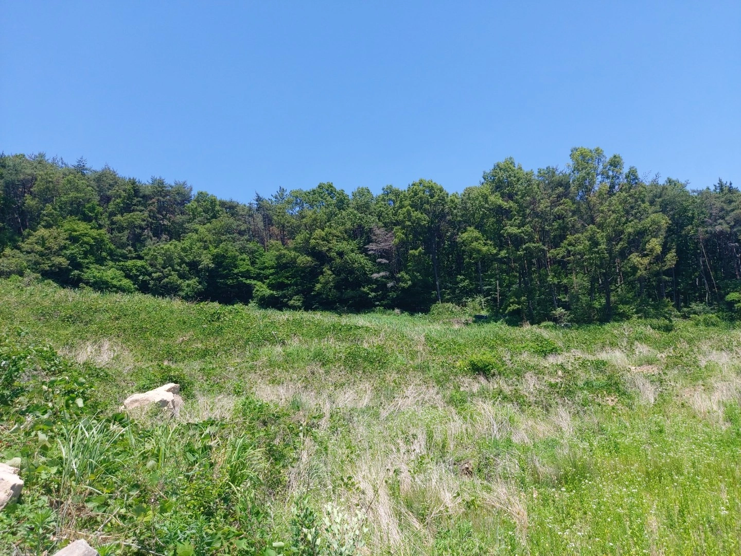 평면도