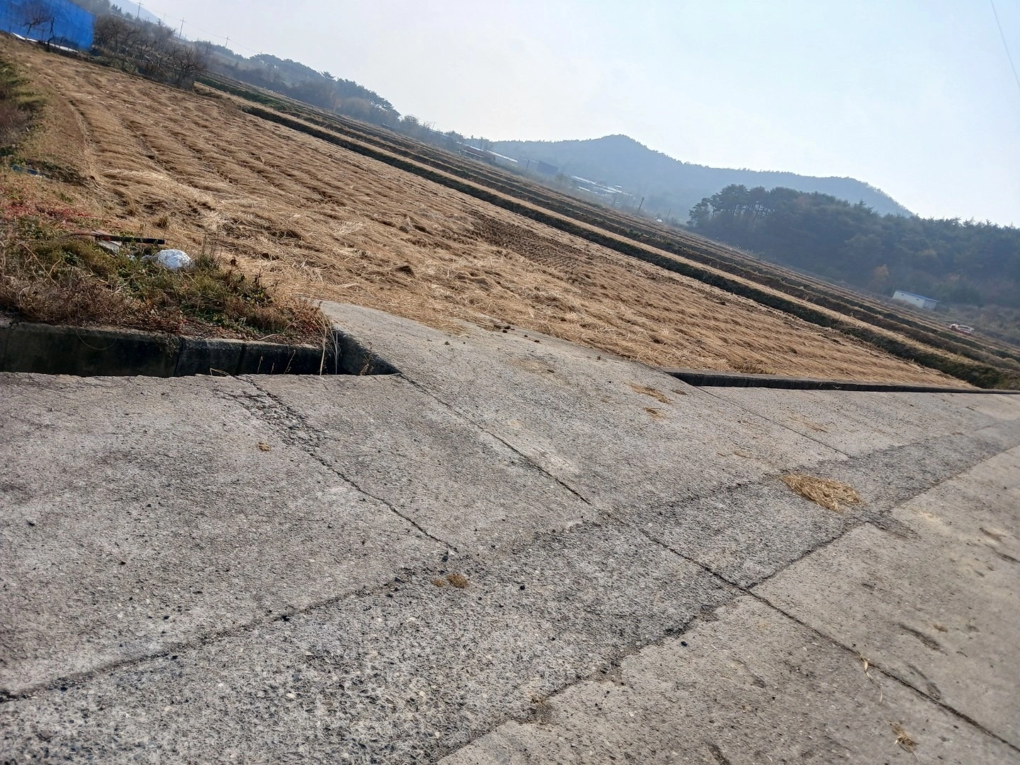평면도