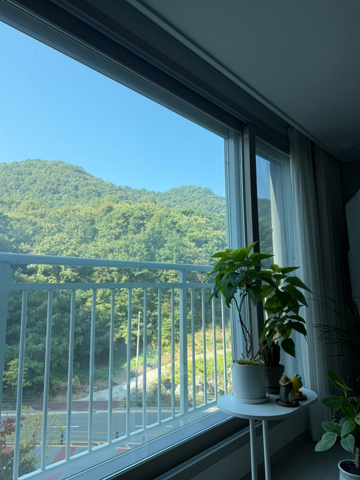 평면도