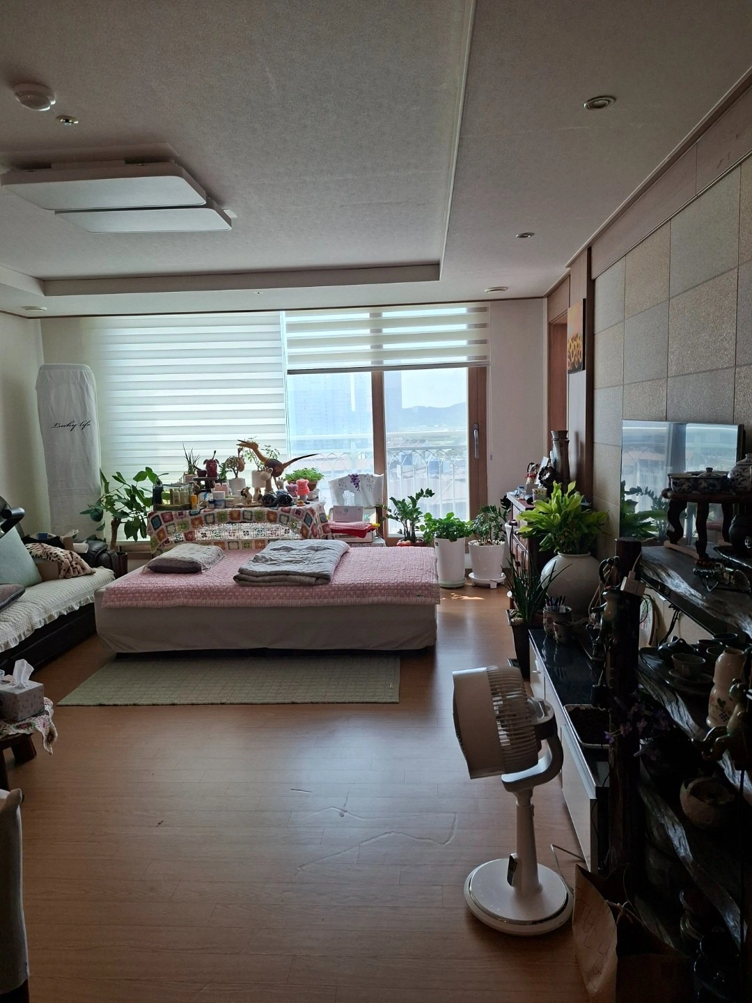 평면도