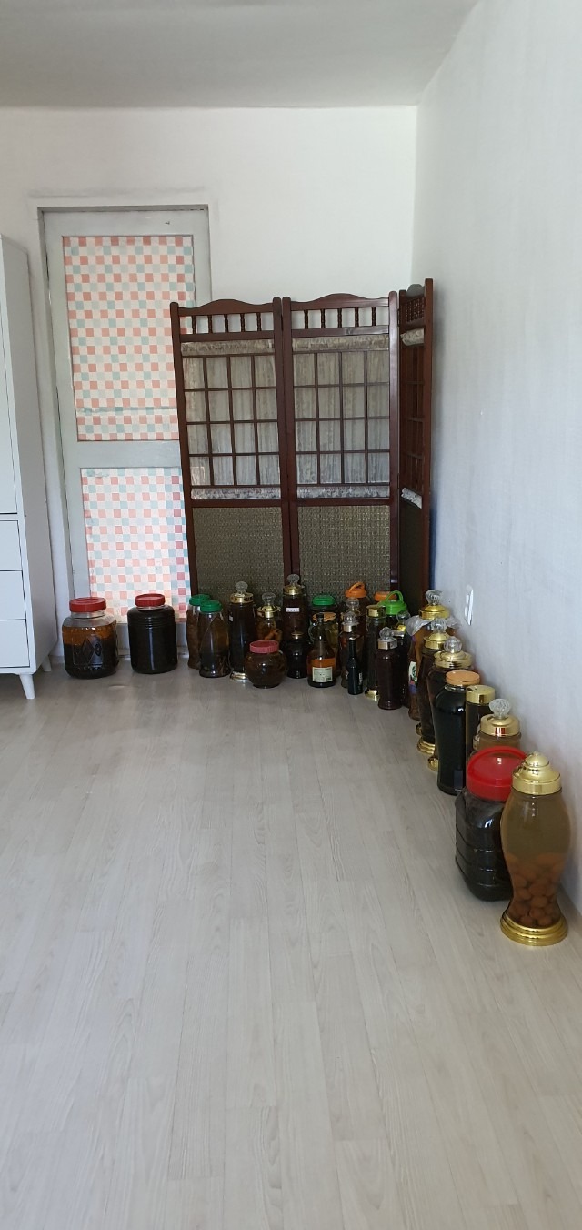평면도